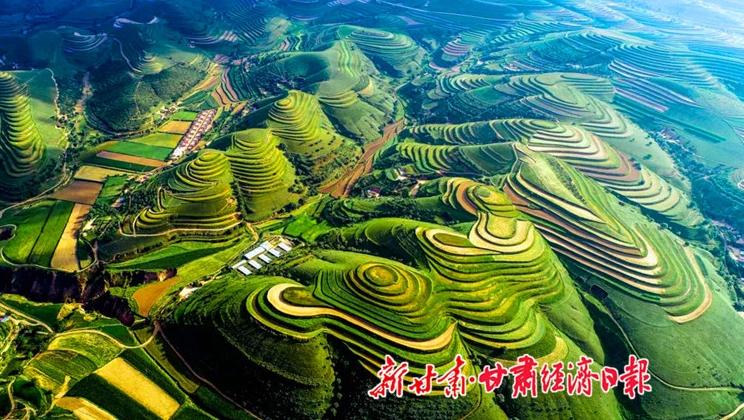 “羊”名立萬正當(dāng)時——環(huán)縣念羊經(jīng)、興羊業(yè)、發(fā)羊財促進鄉(xiāng)村振興發(fā)展