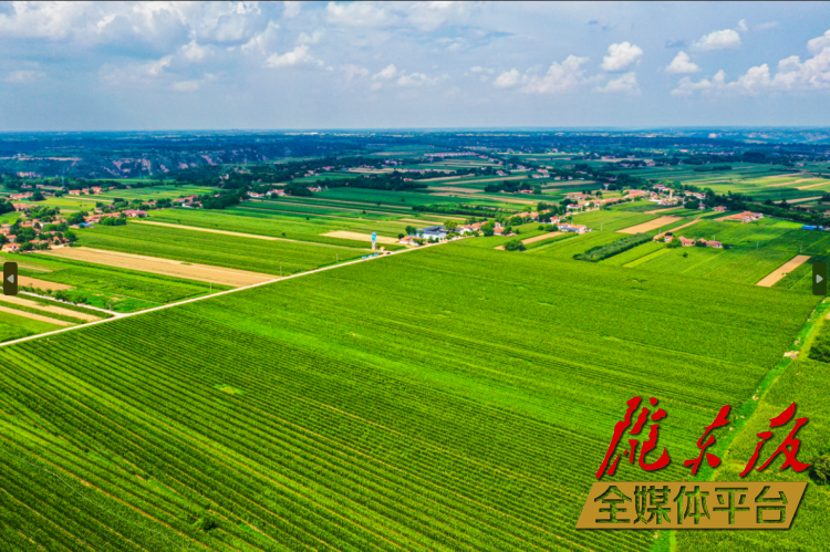 發(fā)展三元雙向循環(huán)模式 構建現(xiàn)代農業(yè)新格局——慶陽市著力推進農業(yè)農村高質量發(fā)展綜述